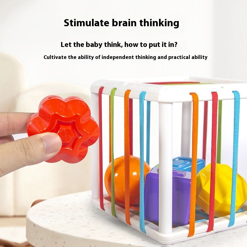 Rainbow Cecil Shape Color Cognitive Baby Early Education Toys