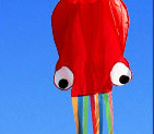 3D 4M Large Octopus Kite with Handle Line Children Outdoor Game