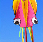 3D 4M Large Octopus Kite with Handle Line Children Outdoor Game