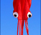 3D 4M Large Octopus Kite with Handle Line Children Outdoor Game