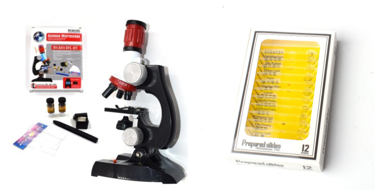 Child Biological Science And Education Microscope