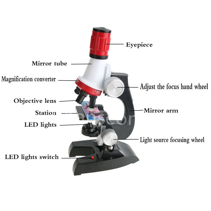 Child Biological Science And Education Microscope