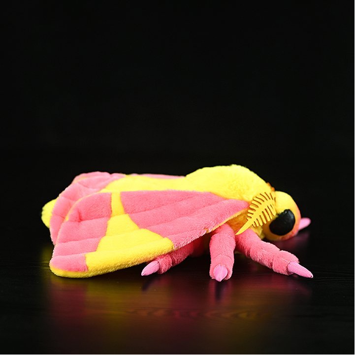 Original Insect Series Plush Toys