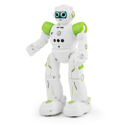 Remote control intelligent robot