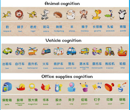 Mathematical Knowledge Classification Cognitive Matching Kids