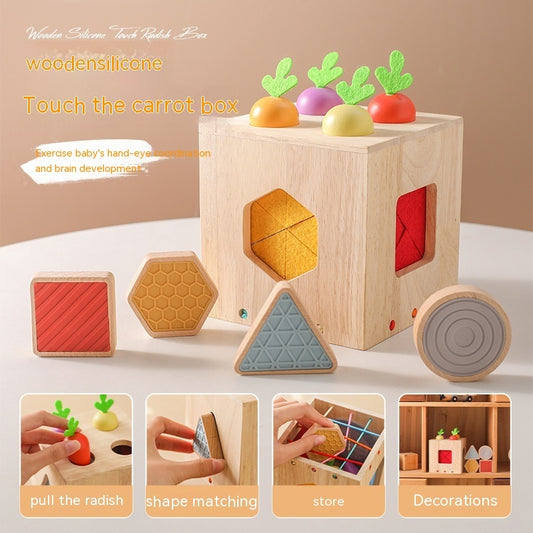 Wooden Geometric Cast Shape Early Childhood Education For Baby Educational Toys