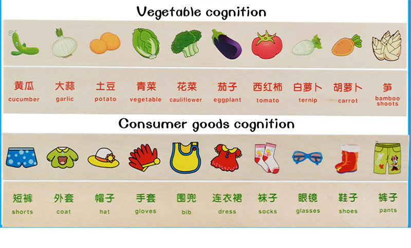 Mathematical Knowledge Classification Cognitive Matching Kids