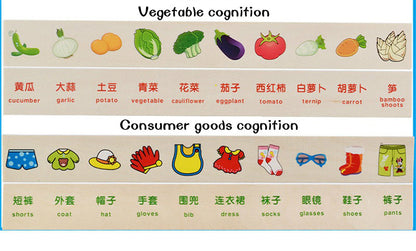 Mathematical Knowledge Classification Cognitive Matching Kids