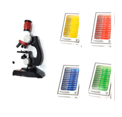 Child Biological Science And Education Microscope