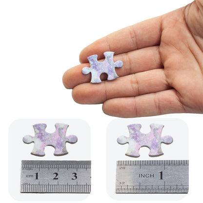 Adult puzzle toys