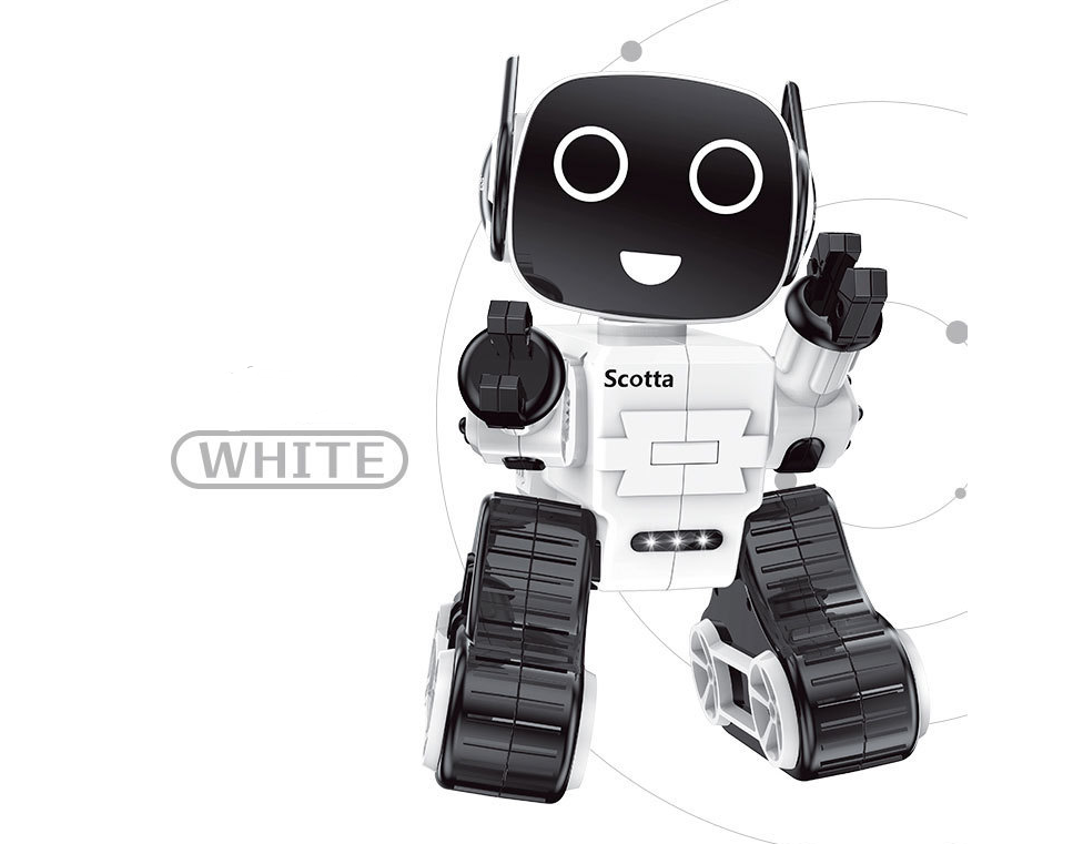 Remote intelligent robot