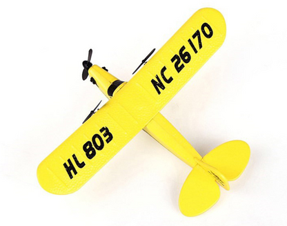 Outdoor Realistic Plastic Remote Control Plane