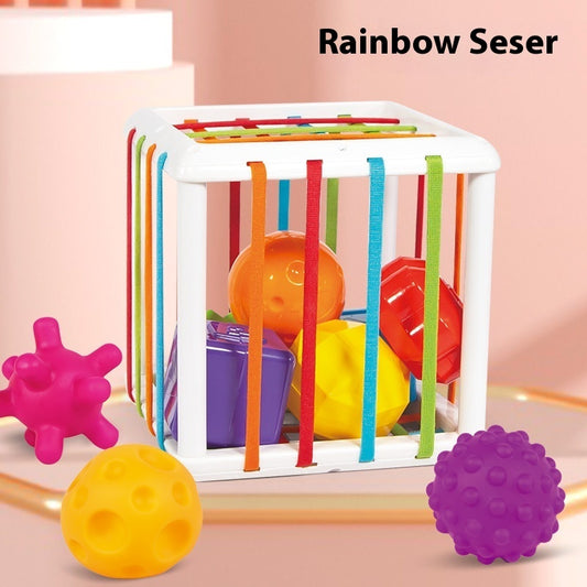 Rainbow Cecil Shape Color Cognitive Baby Early Education Toys