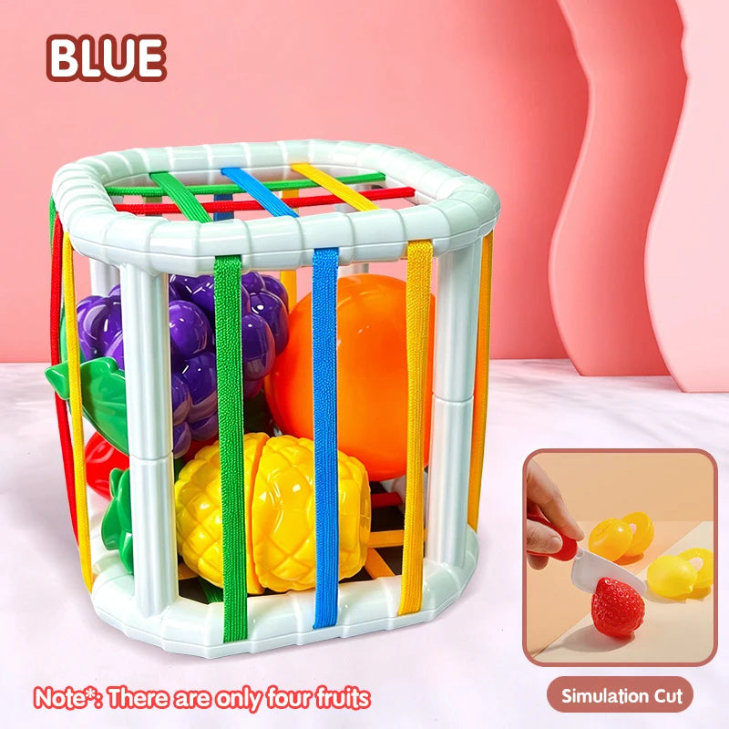 Color Shade Sensory Development Learning Educational Toys