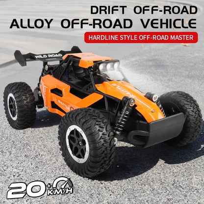 ZWN 1:16/1:20 2.4G Model RC Car With LED Light 2WD Off-road Remote Control