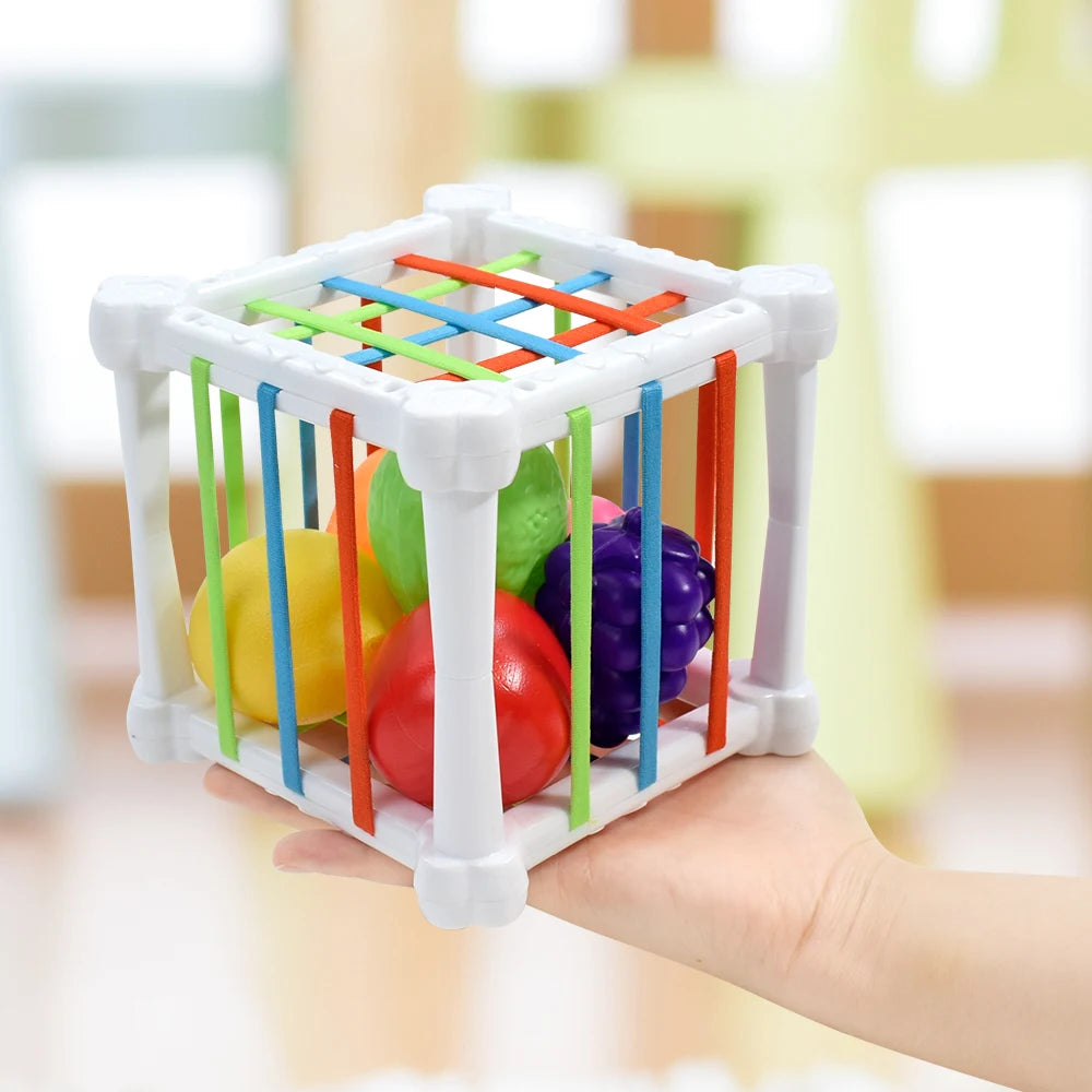 Toys Shape Sorter Cube Baby Toys with Colorful Fruits Activity Learning