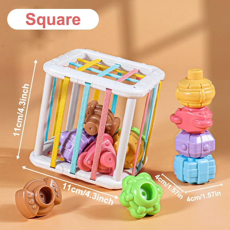 Color Shade Sensory Development Learning Educational Toys