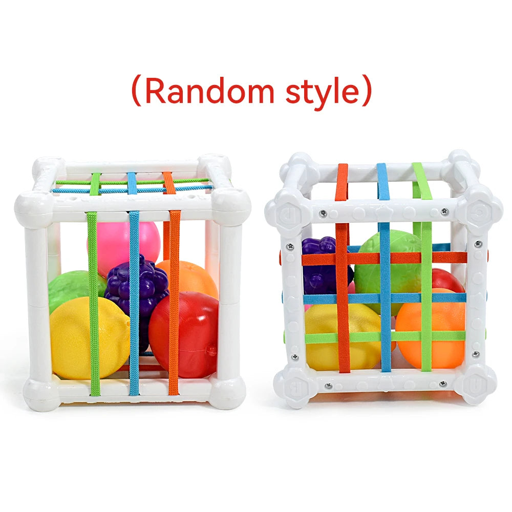 Toys Shape Sorter Cube Baby Toys with Colorful Fruits Activity Learning