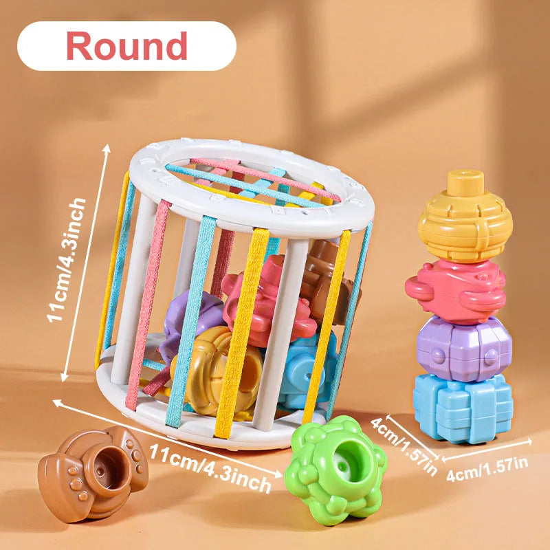 Color Shade Sensory Development Learning Educational Toys