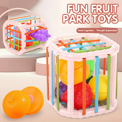 Color Shade Sensory Development Learning Educational Toys