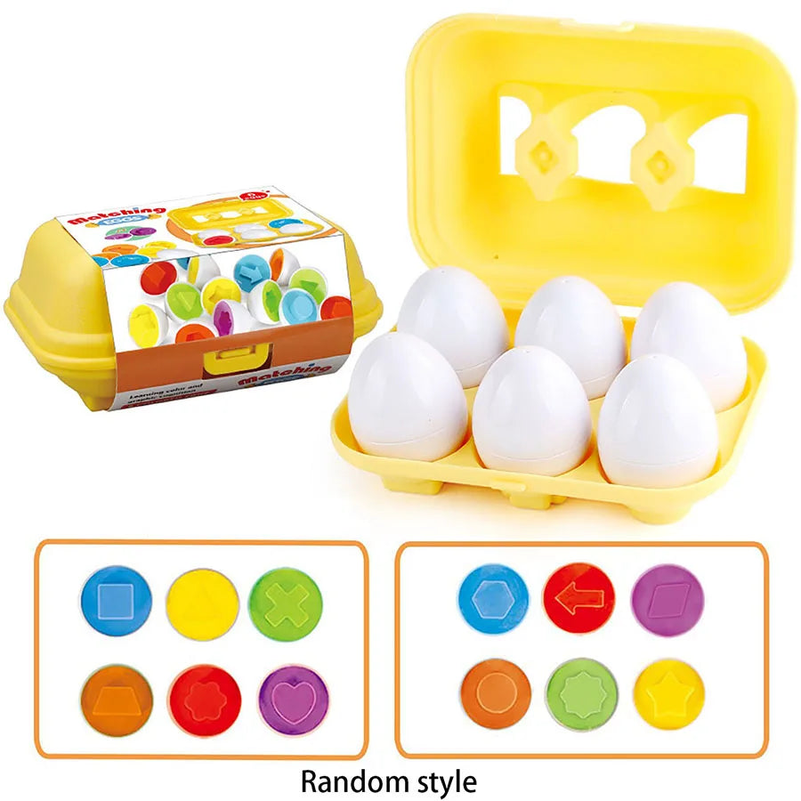 Montessori Eggs 3D Puzzle Learning Education Math Toys