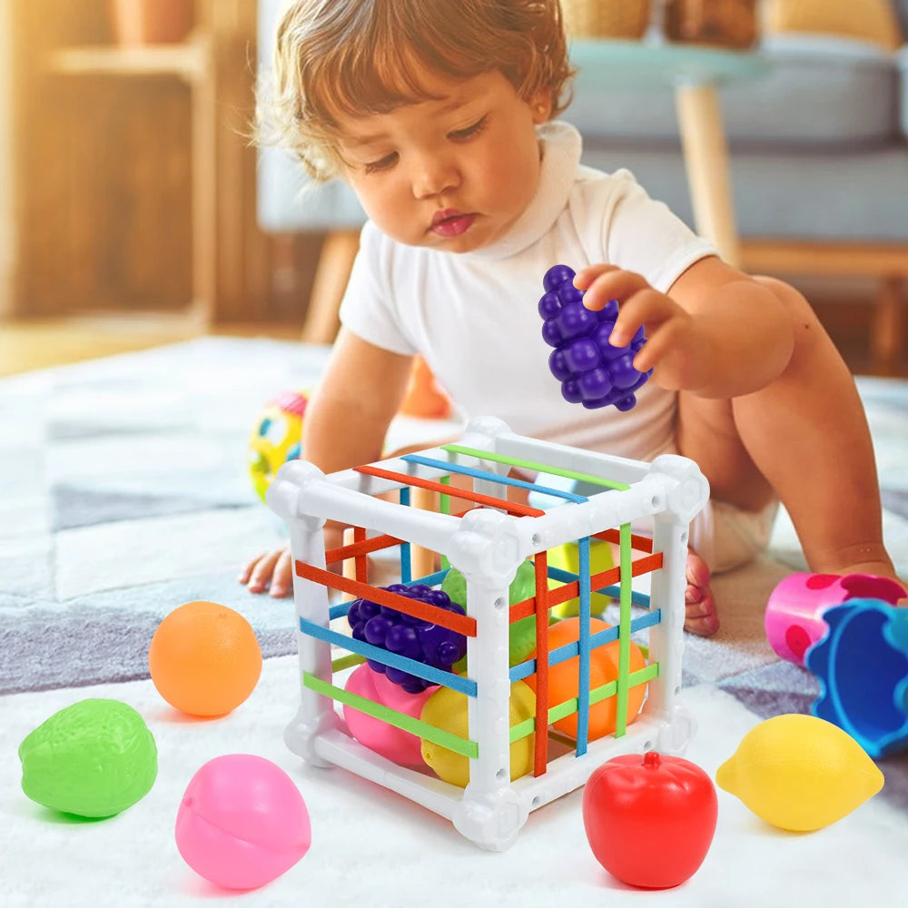 Toys Shape Sorter Cube Baby Toys with Colorful Fruits Activity Learning