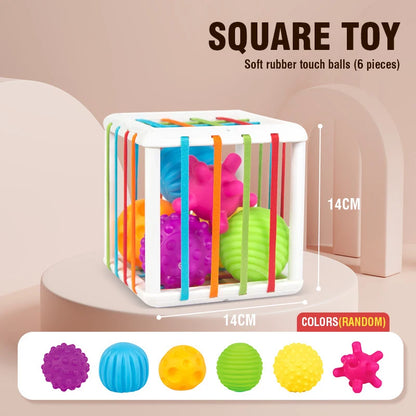 Color Shade Sensory Development Learning Educational Toys