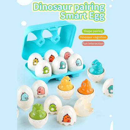 Montessori Eggs 3D Puzzle Learning Education Math Toys