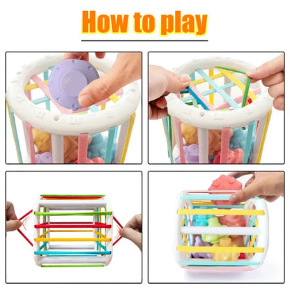 Color Shade Sensory Development Learning Educational Toys