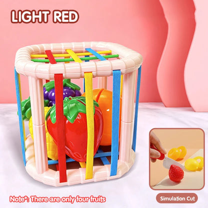 Color Shade Sensory Development Learning Educational Toys