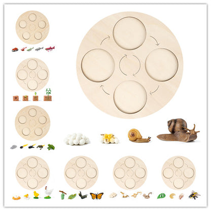 Montessori Growth Cycle Board Cycle Deduction Teaching Aids Tray Wooden