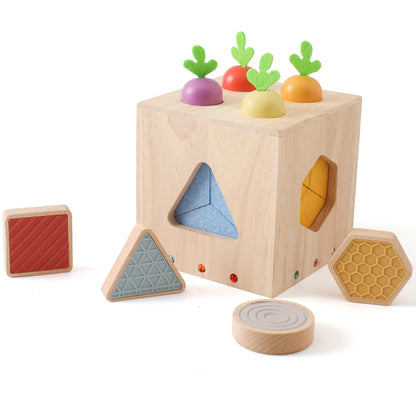 Wooden Geometric Cast Shape Early Childhood Education For Baby Educational Toys