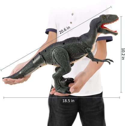 Remote Control R C Walking Dinosaur Toy With Shaking Head