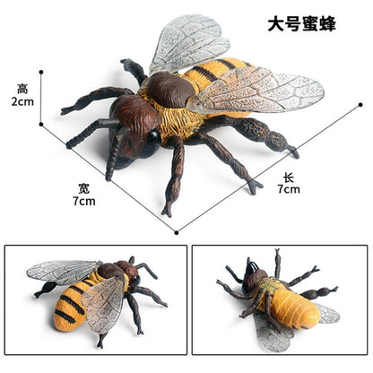 Simulation Wild Animal Wasp Bee Growth