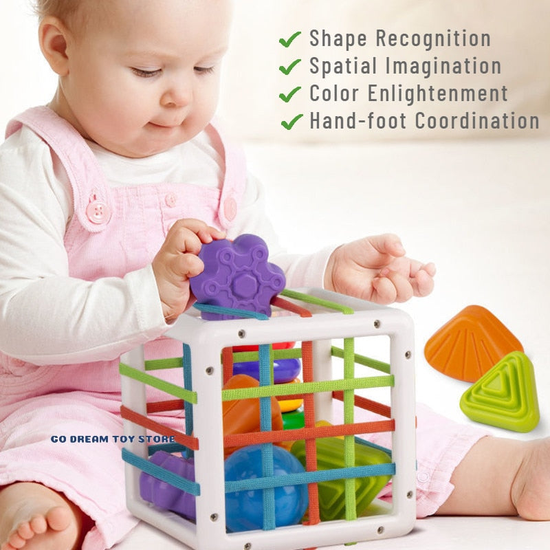 New Colorful Shape Blocks Sorting Game Baby