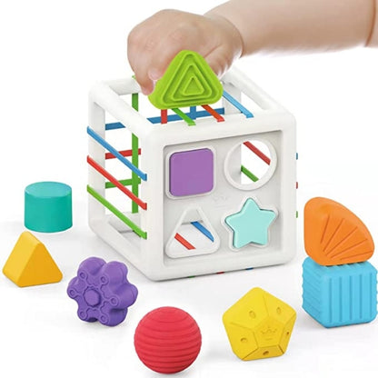 Baby Shape Blocks Sorting Toys Motor Skills Training