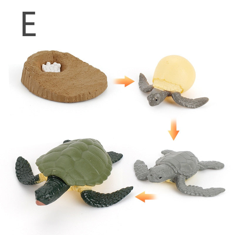 Simulation Animals Model Montessori Toy