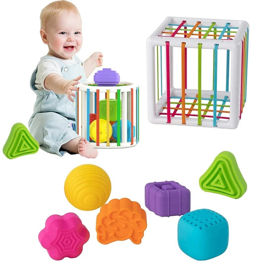 Baby Shape Blocks Sorting Toys Motor Skills Training