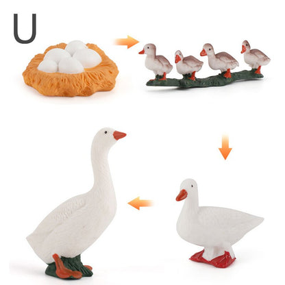 Simulation Animals Model Montessori Toy