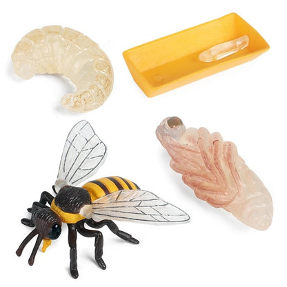 Simulation Wild Animal Wasp Bee Growth