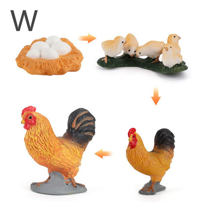 Simulation Animals Model Montessori Toy