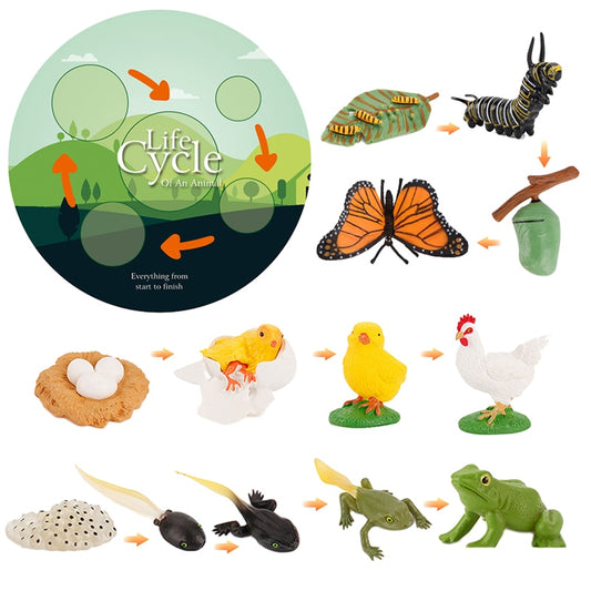 Simulation Animals Model Montessori Toy