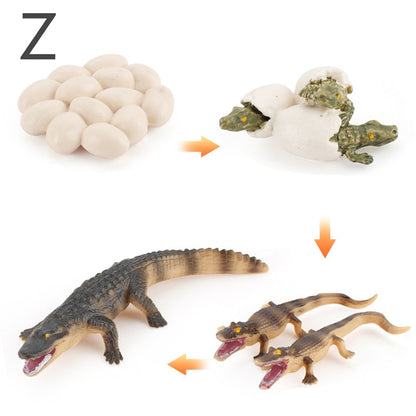 Simulation Animals Model Montessori Toy