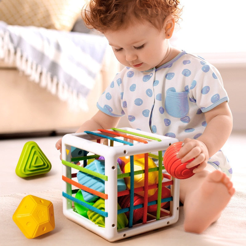 New Colorful Shape Blocks Sorting Game Baby