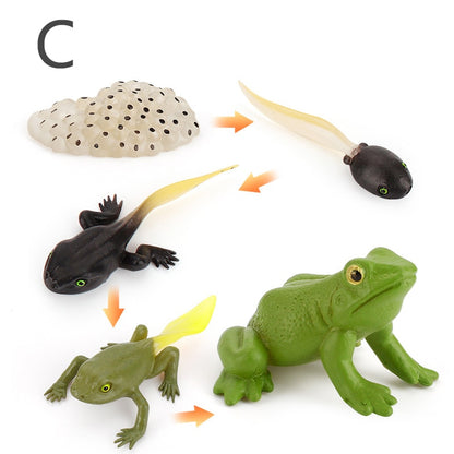 Simulation Animals Model Montessori Toy