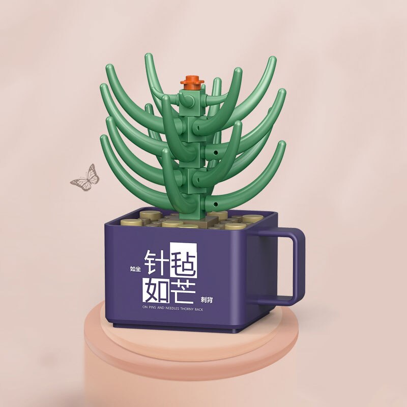 City Creativity Immortal Flower Blossoms Succulent