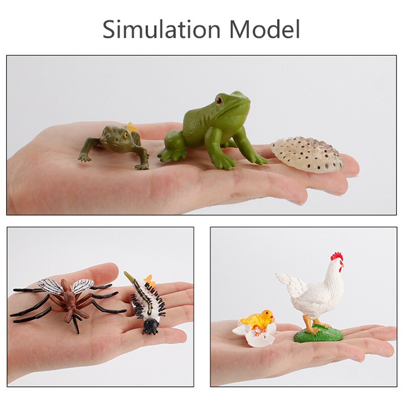 Simulation Animals Model Montessori Toy