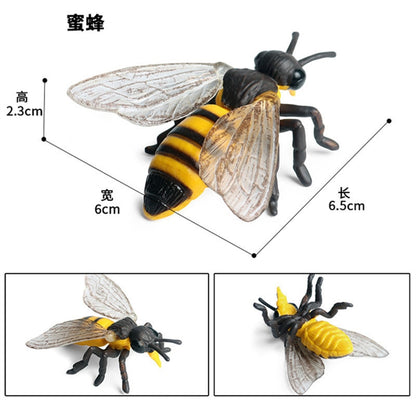 Simulation Wild Animal Wasp Bee Growth