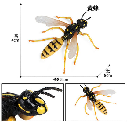 Simulation Wild Animal Wasp Bee Growth