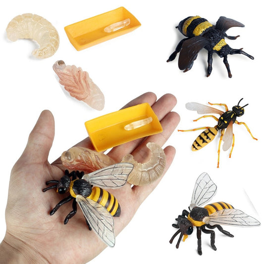 Simulation Wild Animal Wasp Bee Growth